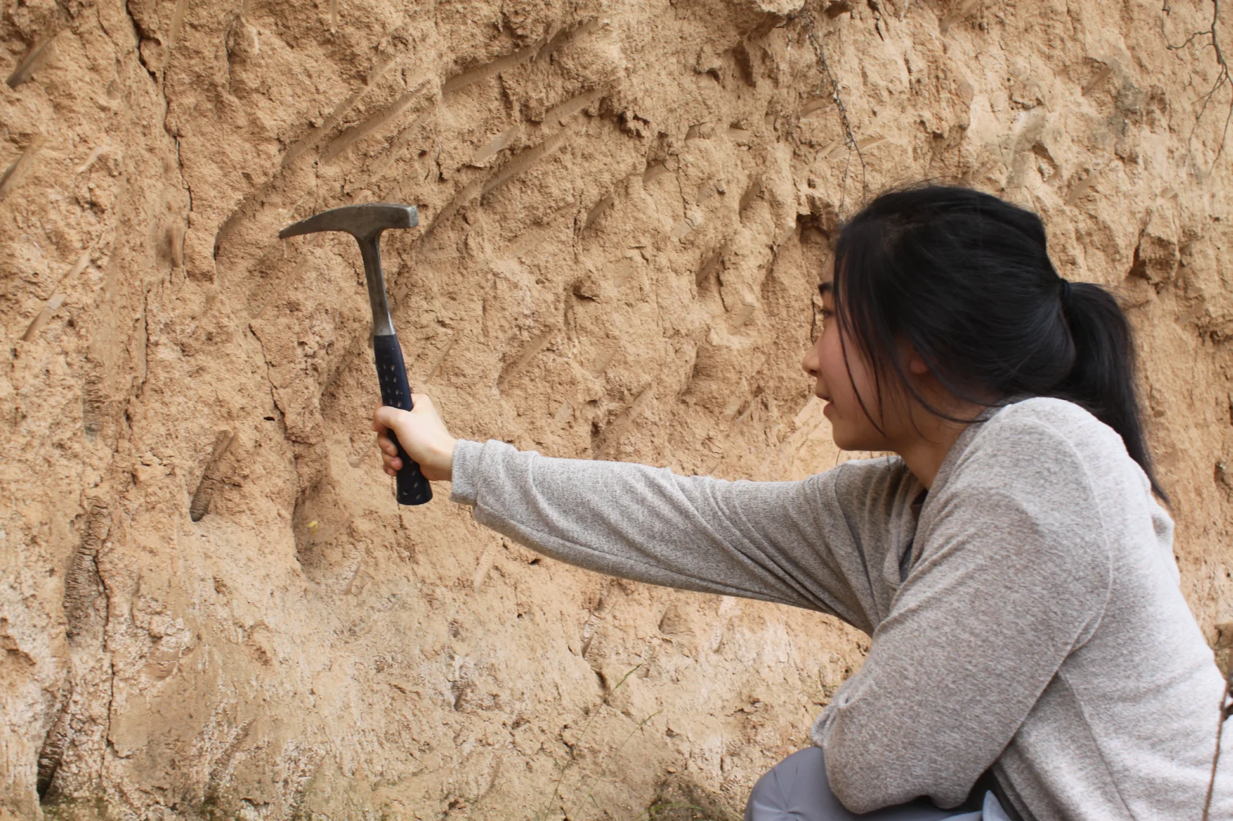 Sophia examining a loess exposure with a geological hammer