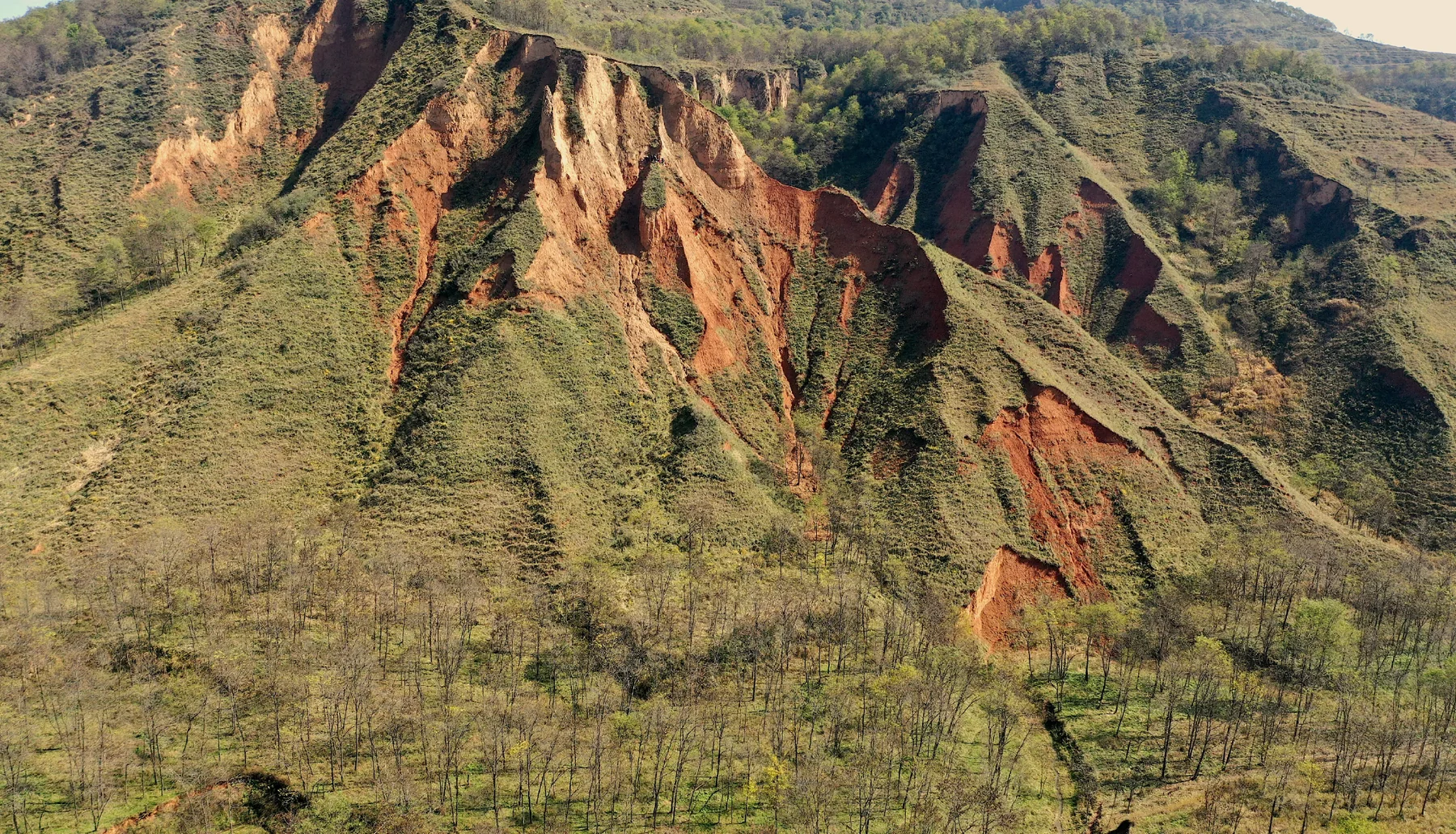 Eroded reddish exposures across a grassy hillside on the Chinese Loess Plateau